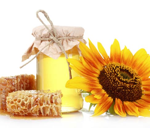 Royal jelly wholesale suppliers Delhi,indian royal jelly distributors 