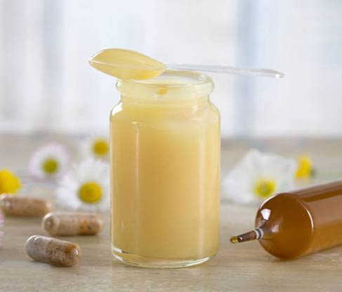 Royal jelly wholesale suppliers Delhi,indian royal jelly distributors 