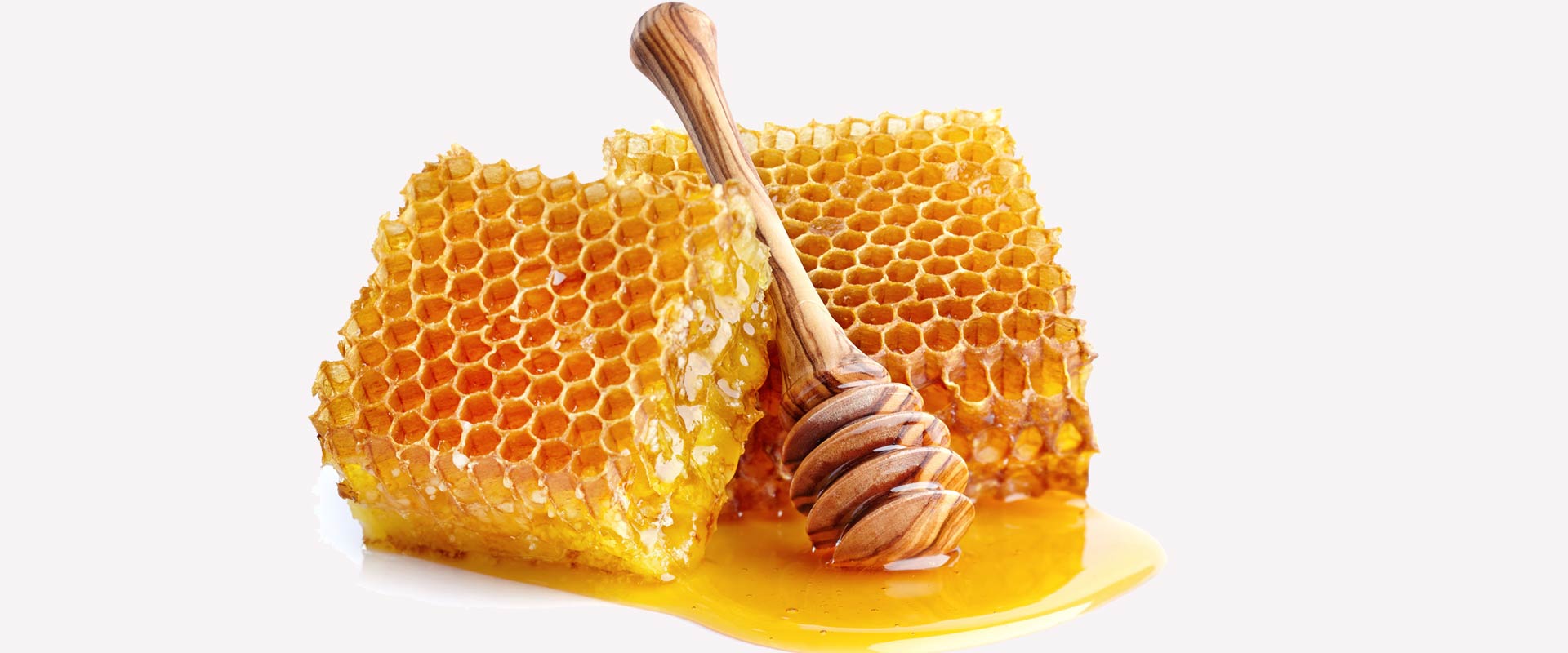 natural bee pollen wholesale suppliers India,propolis dealers Delhi,bee wax traders Dubai,royal jelly distributors India,bee keeping equipments wholesalers Delhi