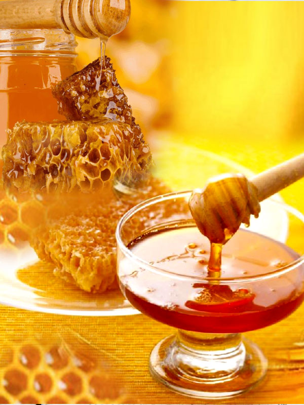 Beeswax wholesale suppliers India,bee wax distributors Delhi,honey bee wax dealers Dubai