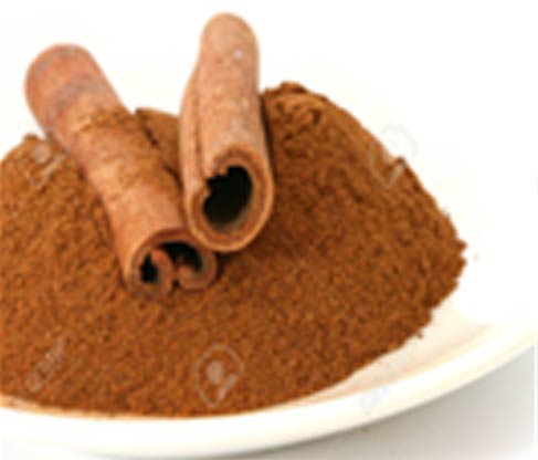 Cinnamon wholesale suppliers India,Organic cinnamon dealers Delhi,Dalchini  distributors Dubai,Darchini stick  traders India