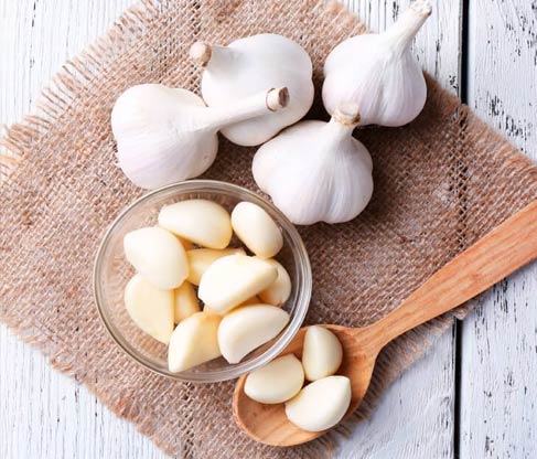 Fresh Garlic wholesalers India,Peeled Garlic manufacturers & suppliers Delhi,white garlic traders Dubai