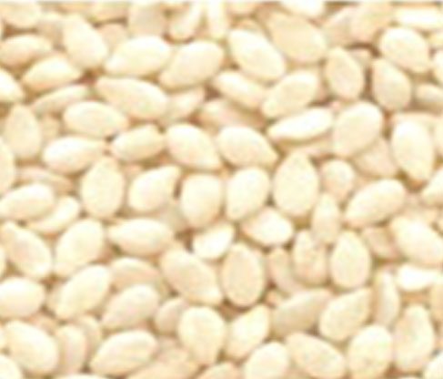 Sesame seeds  wholesale suppliers India,Organic sesame seeds  distributors Delhi,Seasame seed manufacturers & suppliers Dubai,Natural black sesame seeds  traders India