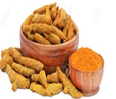 turmeric wholesale suppliers India,Raw turmeric roots dealers Delhi,Organic turmeric powder traders Dubai