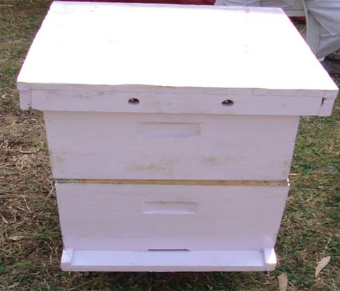 beekeeping equipment tools wholesale suppliers India,beehive distributors Delhi,bee keeping equipments dealers Dubai,bee hive manufacturers & suppliers India