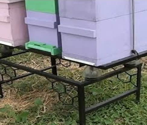 beekeeping equipment tools wholesale suppliers India,beehive distributors Delhi,bee keeping equipments dealers Dubai,bee hive manufacturers & suppliers India