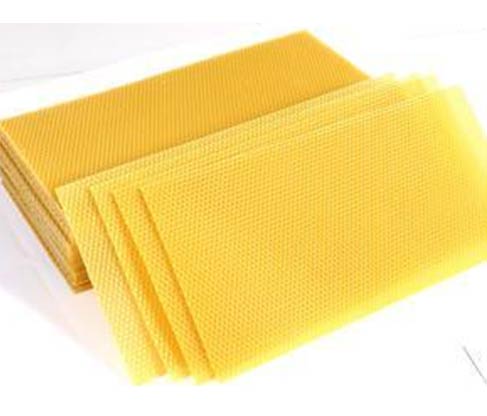 beekeeping equipment tools wholesale suppliers India,beehive distributors Delhi,bee keeping equipments dealers Dubai,bee hive manufacturers & suppliers India