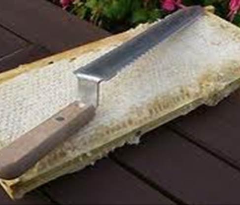 beekeeping equipment tools wholesale suppliers India,beehive distributors Delhi,bee keeping equipments dealers Dubai,bee hive manufacturers & suppliers India