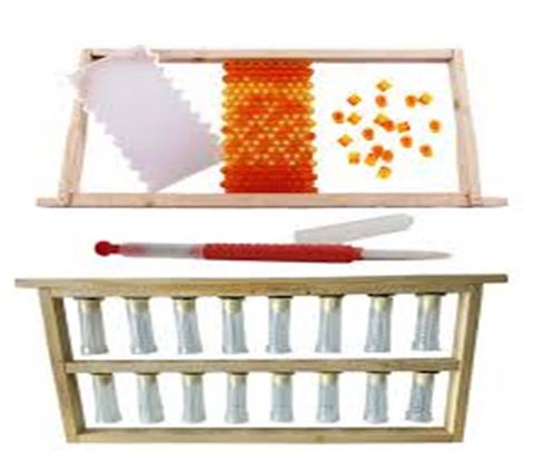 beekeeping equipment tools wholesale suppliers India,beehive distributors Delhi,bee keeping equipments dealers Dubai,bee hive manufacturers & suppliers India