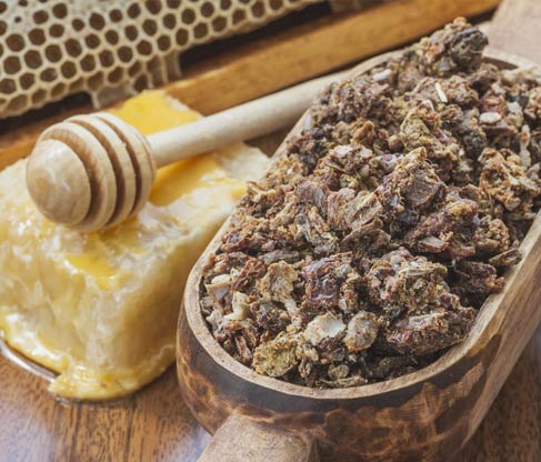 Propolis wholesale suppliers India,bee propolis distributors Delhi,organic bee propolis dealers Dubai
