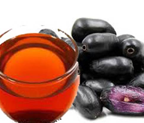 jamun honey wholesale suppliers India,organic jamun honey dealers Delhi,natural jamun honey distributors Dubai