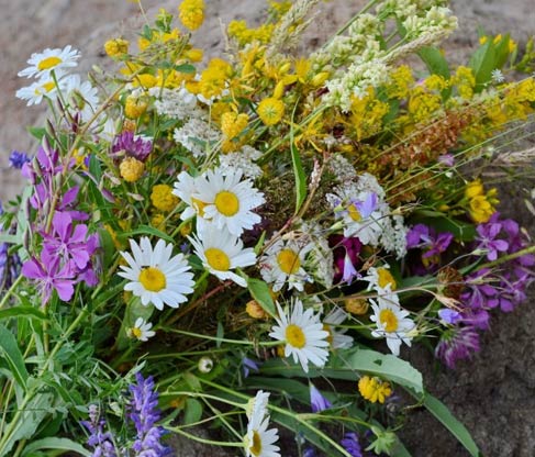 multi flora honey wholesale suppliers India,multi floral honey dealers Delhi,raw multifloral Honey distributors Dubai,organic multi flora honey manufacturers & suppliers Delhi