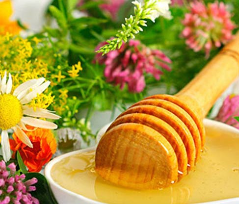 multi flora honey wholesale suppliers India,multi floral honey dealers Delhi,raw multifloral Honey distributors Dubai,organic multi flora honey manufacturers & suppliers Delhi