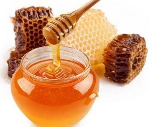 sidr honey wholesale suppliers India,organic sidr honey dealers Delhi,sidr natural honey  distributors Dubai