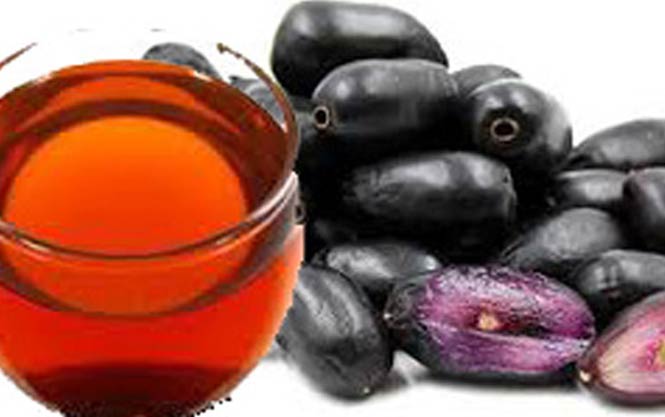 honey products wholesale suppliers India,mustard honey dealers Delhi,  jamun honey traders Dubai,multiflora honey distributors India,eucalyptus honey wholesalers Delhi,sidr honey manufacturers & suppliers Dubai,tusli ajwain honey wholesale suppliers India