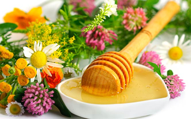 natural bee pollen wholesale suppliers India,propolis dealers Delhi,bee wax traders Dubai,royal jelly distributors India,bee keeping equipments wholesalers Delhi