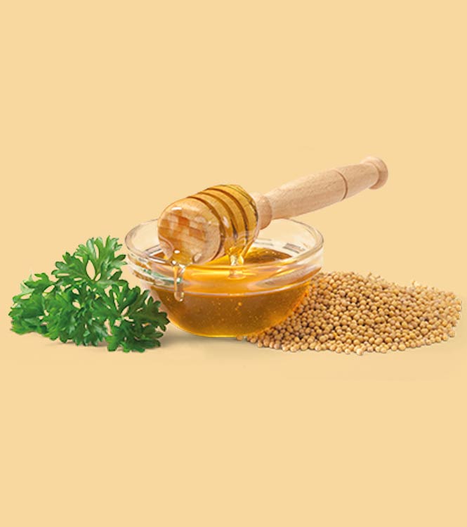 honey products wholesale suppliers India,mustard honey dealers Delhi,  jamun honey traders Dubai,multiflora honey distributors India,eucalyptus honey wholesalers Delhi,sidr honey manufacturers & suppliers Dubai,tusli ajwain honey wholesale suppliers India