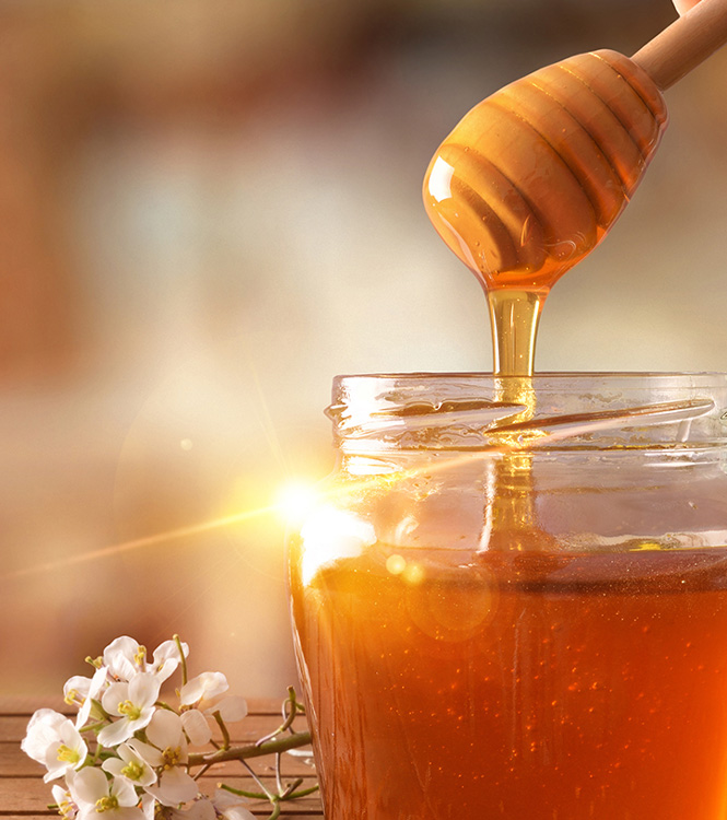 red chilli wholesale suppliers India,turmeric dealers Delhi,coriander traders Dubai,cumin seed distributors India,clove wholesalers Delhi,cinnamon manufacturers & suppliers Dubai,tamarind wholesale suppliers India,bay leaf dealers Delhi