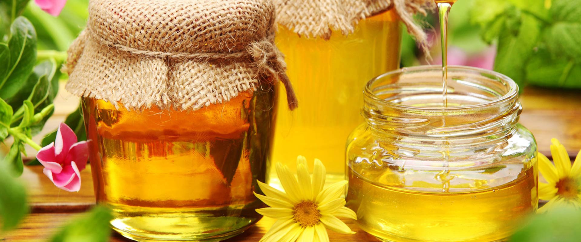 honey products wholesale suppliers India,mustard honey dealers Delhi,  jamun honey traders Dubai,multiflora honey distributors India,eucalyptus honey wholesalers Delhi,sidr honey manufacturers & suppliers Dubai,tusli ajwain honey wholesale suppliers India