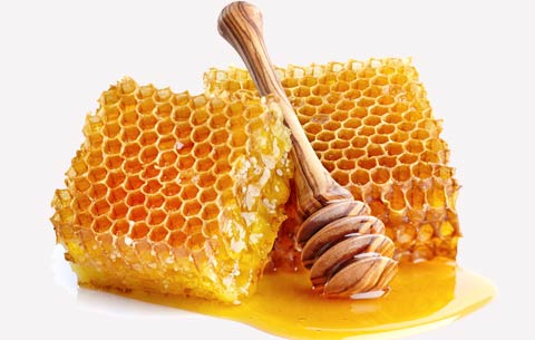 natural bee pollen wholesale suppliers India,propolis dealers Delhi,bee wax traders Dubai,royal jelly distributors India,bee keeping equipments wholesalers Delhi