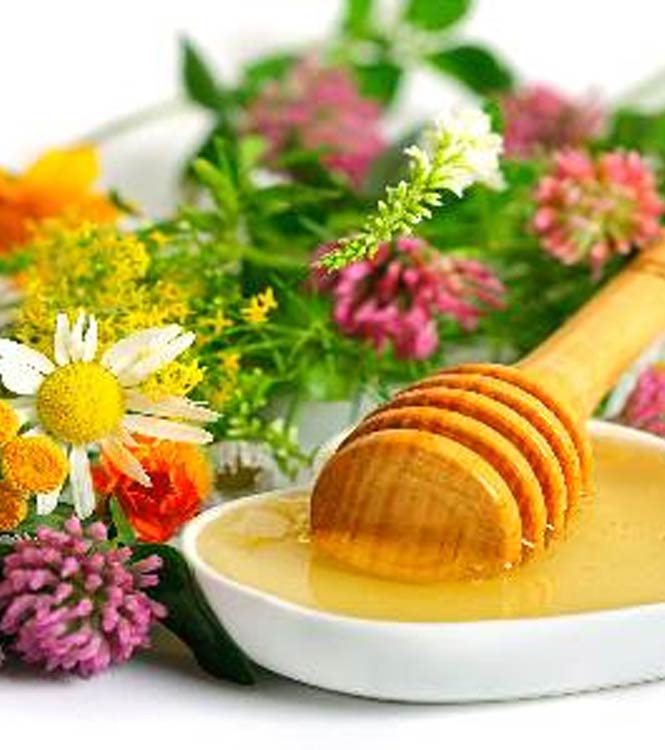 red chilli wholesale suppliers India,turmeric dealers Delhi,coriander traders Dubai,cumin seed distributors India,clove wholesalers Delhi,cinnamon manufacturers & suppliers Dubai,tamarind wholesale suppliers India,bay leaf dealers Delhi