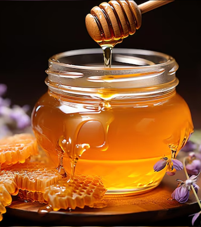 red chilli wholesale suppliers India,turmeric dealers Delhi,coriander traders Dubai,cumin seed distributors India,clove wholesalers Delhi,cinnamon manufacturers & suppliers Dubai,tamarind wholesale suppliers India,bay leaf dealers Delhi