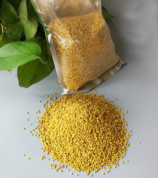 dry ginger wholesale suppliers India,pepper dealers Delhi,green cardamom traders Dubai,fenugreek distributors India,fennel seed wholesalers Delhi,celery seed manufacturers & suppliers Dubai,garlic traders Dubai,seasame seed distributors India