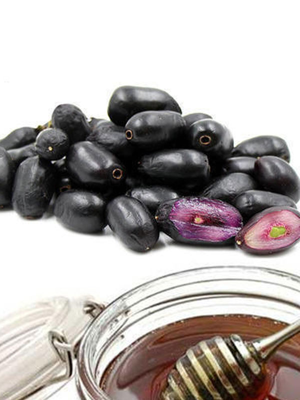 honey products wholesale suppliers India,mustard honey dealers Delhi,jamun honey traders Dubai,multiflora honey distributors India,eucalyptus honey wholesalers Delhi,sidr honey manufacturers & suppliers Dubai,tusli ajwain honey wholesale suppliers India 